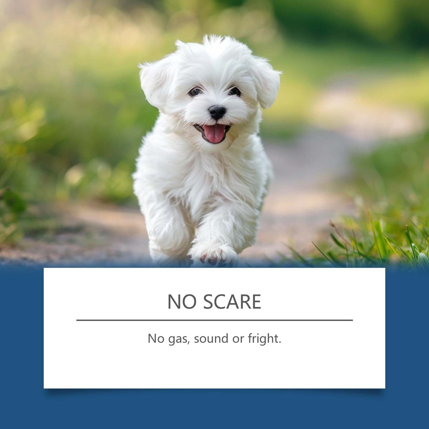 Itch Relief Spray for Pets